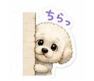 864700888