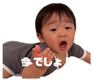 864701290