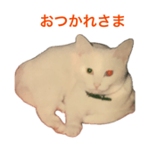 864701337