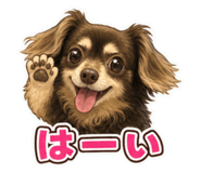 864701428