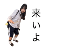 864701590