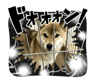 864701980