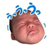 864702049