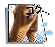 864702064