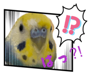 864702073