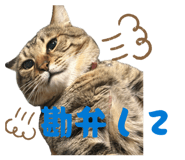 864702817