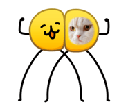 864702915