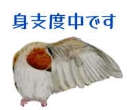 864702938