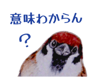 864702942