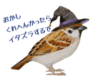 864702951