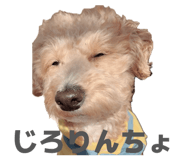 864702963