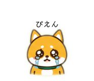 864703468