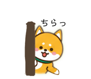864703478