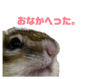 864703897