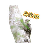 864703906