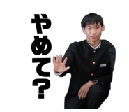 864703981