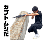 864704008