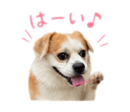 864704098