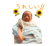 864704129