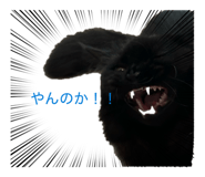 864704202