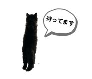 864704205