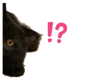 864704208