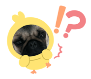 864704210