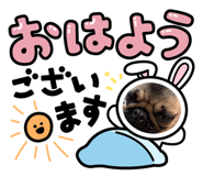 864704212