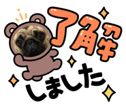 864704214