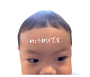 864704694