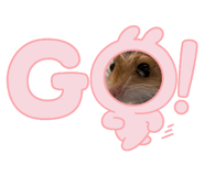 864709434
