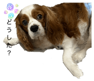 864711179