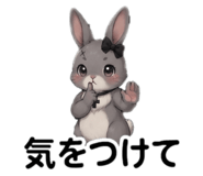 864712063