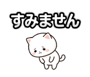 864713243