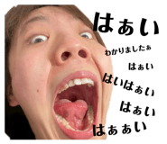 864713937