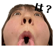 864713939