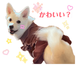 864714019
