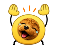 864714253