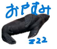 864714555
