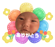 864714608