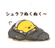 864716202