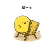 864716216