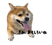 864717065