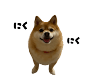 864717068