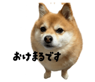 864717070