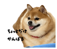 864717071