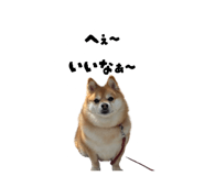 864717072