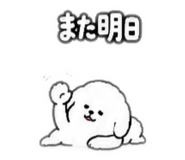 864719560