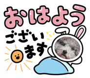 864723676