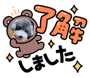 864723678